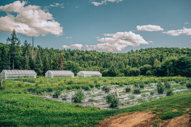 Matawinie agricole ferme