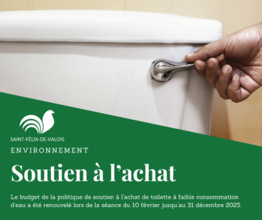 Toilette faible consommation